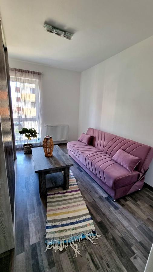 Swan Brasov Apartment Экстерьер фото