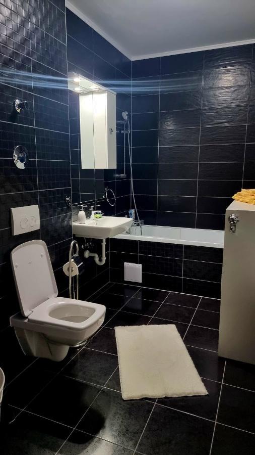 Swan Brasov Apartment Экстерьер фото