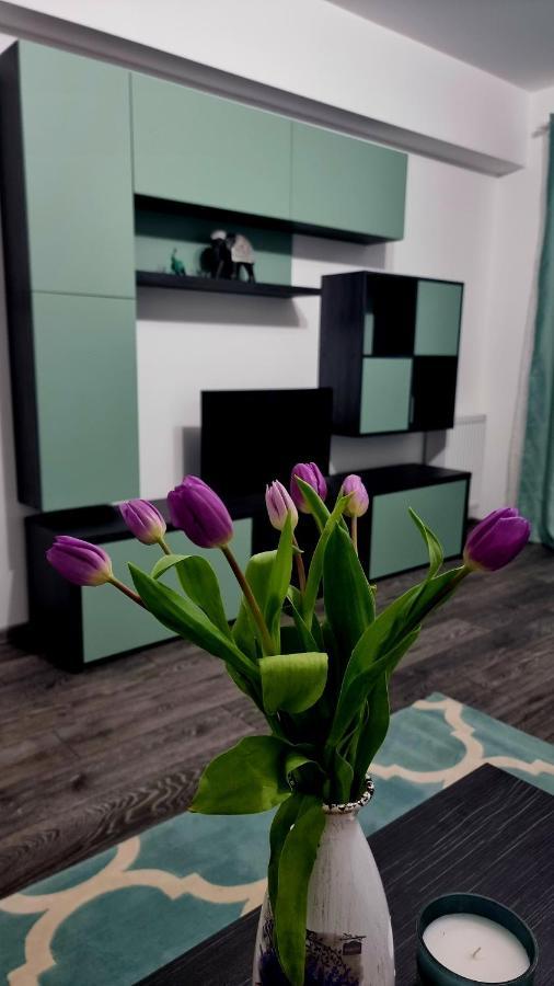 Swan Brasov Apartment Экстерьер фото