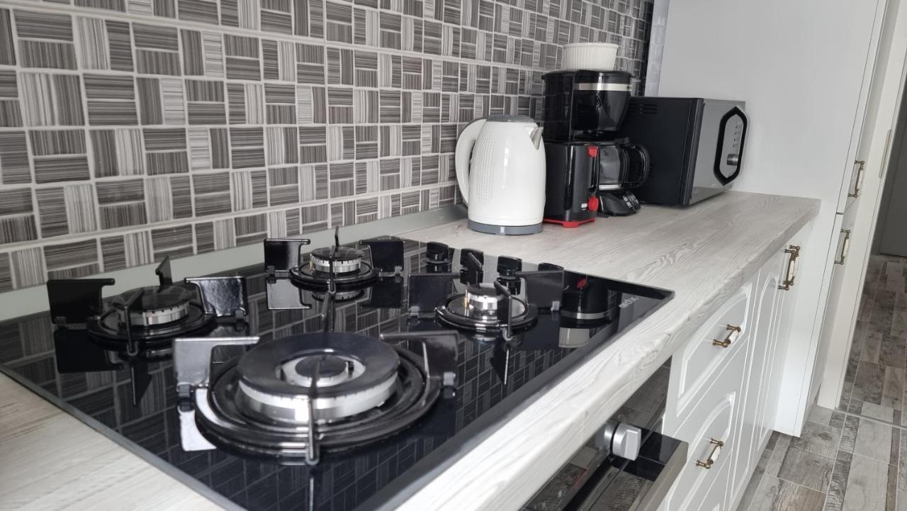 Swan Brasov Apartment Экстерьер фото