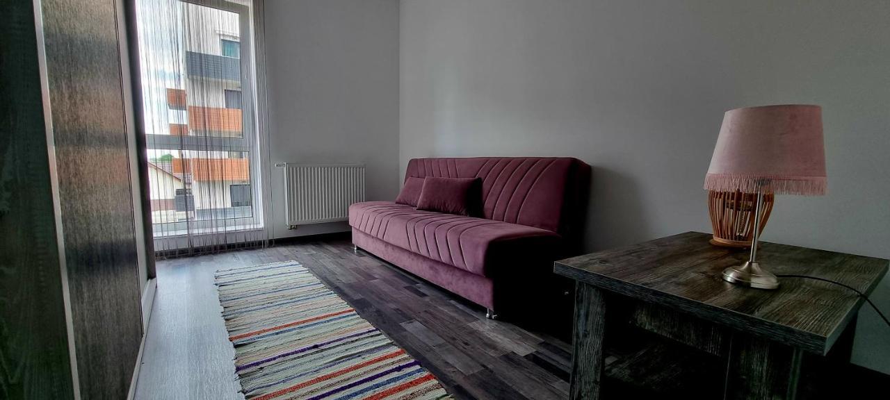 Swan Brasov Apartment Экстерьер фото